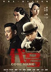 代号演员表,揭秘幕后英雄的精彩演绎