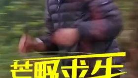 怎么成为荒野求生网红,揭秘荒野求生网红之路