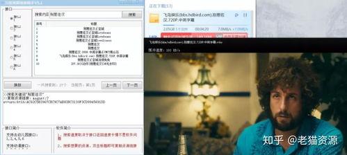 查找资料电影,一部关于音乐与爱情的奇幻之旅